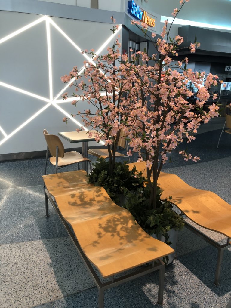 A stylish wooden bench at BWI, with cherry-blossom accent