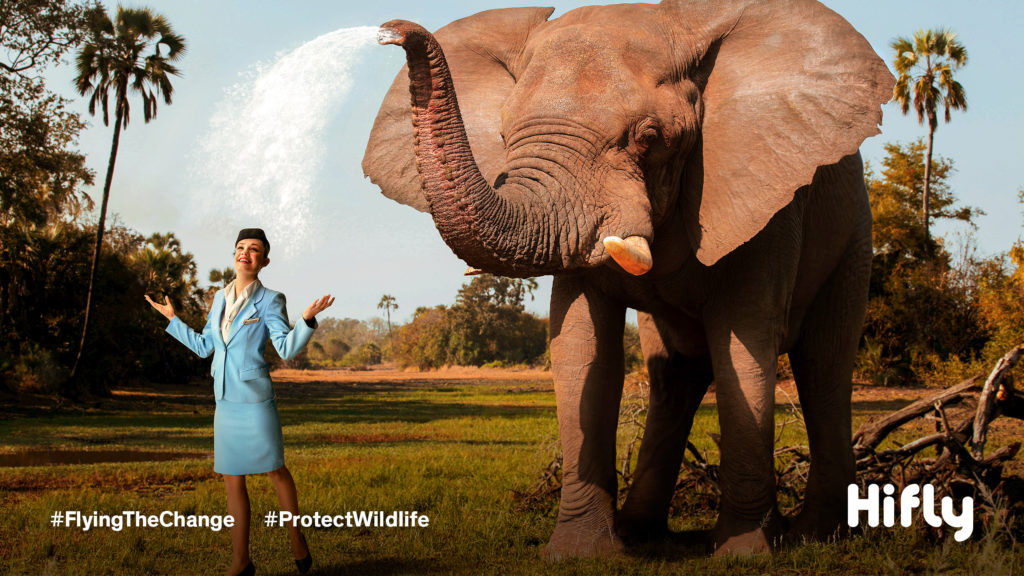 Flight attendant dressed in a blue uniform being sprayed with water by an elephant