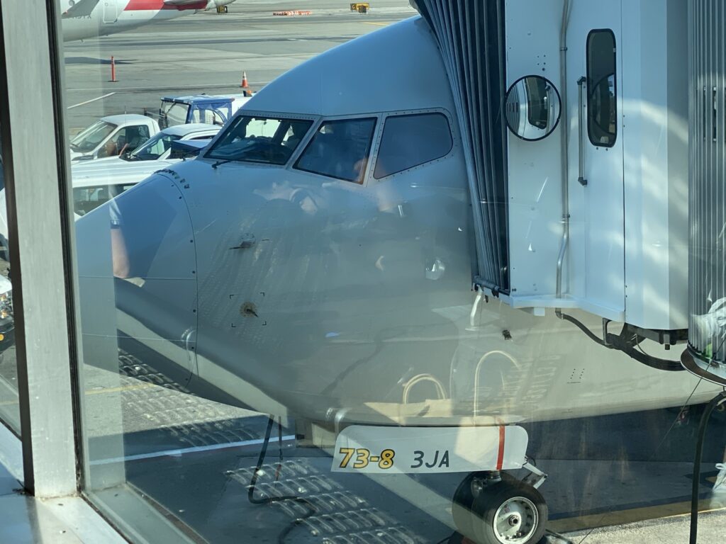 American Airlines Boeing 737-800 nose through the window of the LaGuardia airport at the jet bridge 