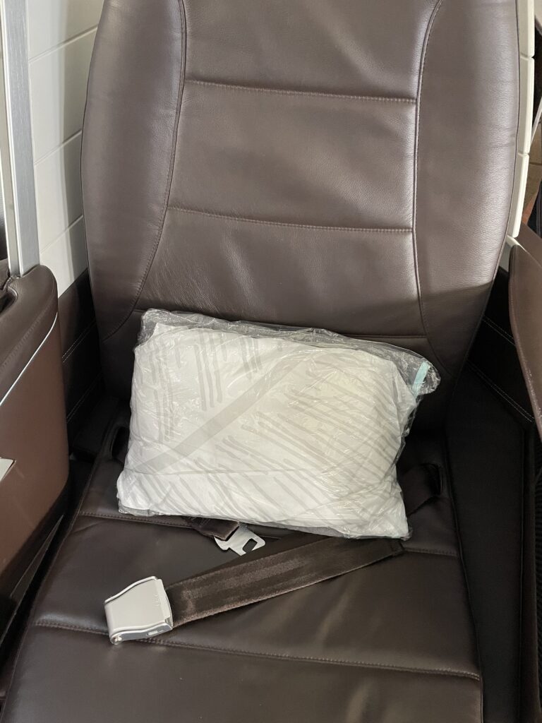 Hawaiian Airlines first class seat, deep brown leather of the white curved seat shell