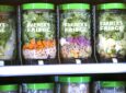 A variety of jarred salads lined up inside a vending machine. This image is close up to show a few of the different options.