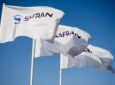 A cluster of Safran flags with a clear blue sky behind them