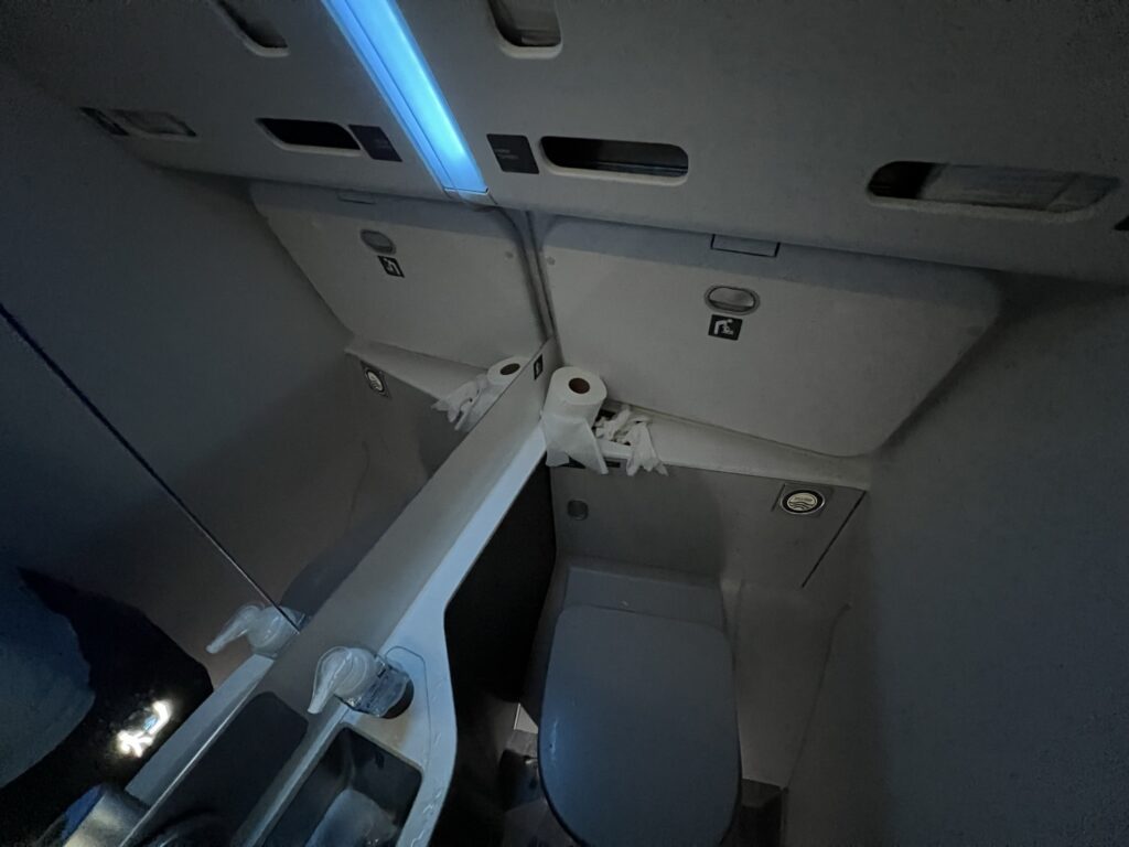 Interior of the Delta A321neo lavatory 