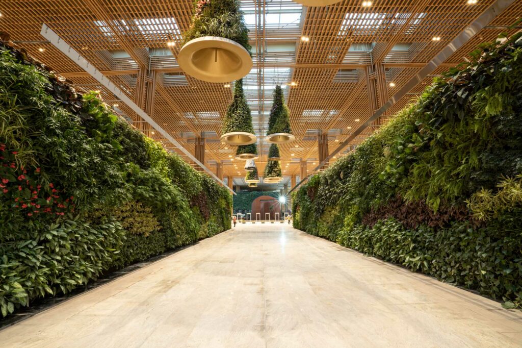 A hallway in the airport has walls adorned with living green plants.