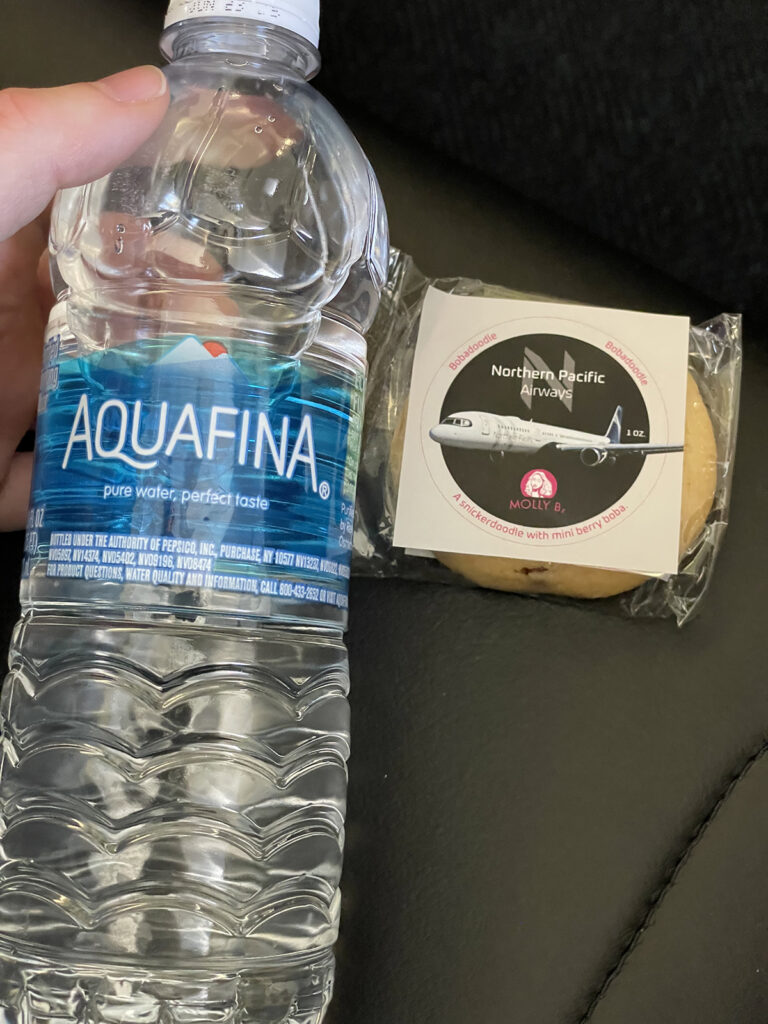 A water bottle and a packaged cookie are displayed by the passenger.