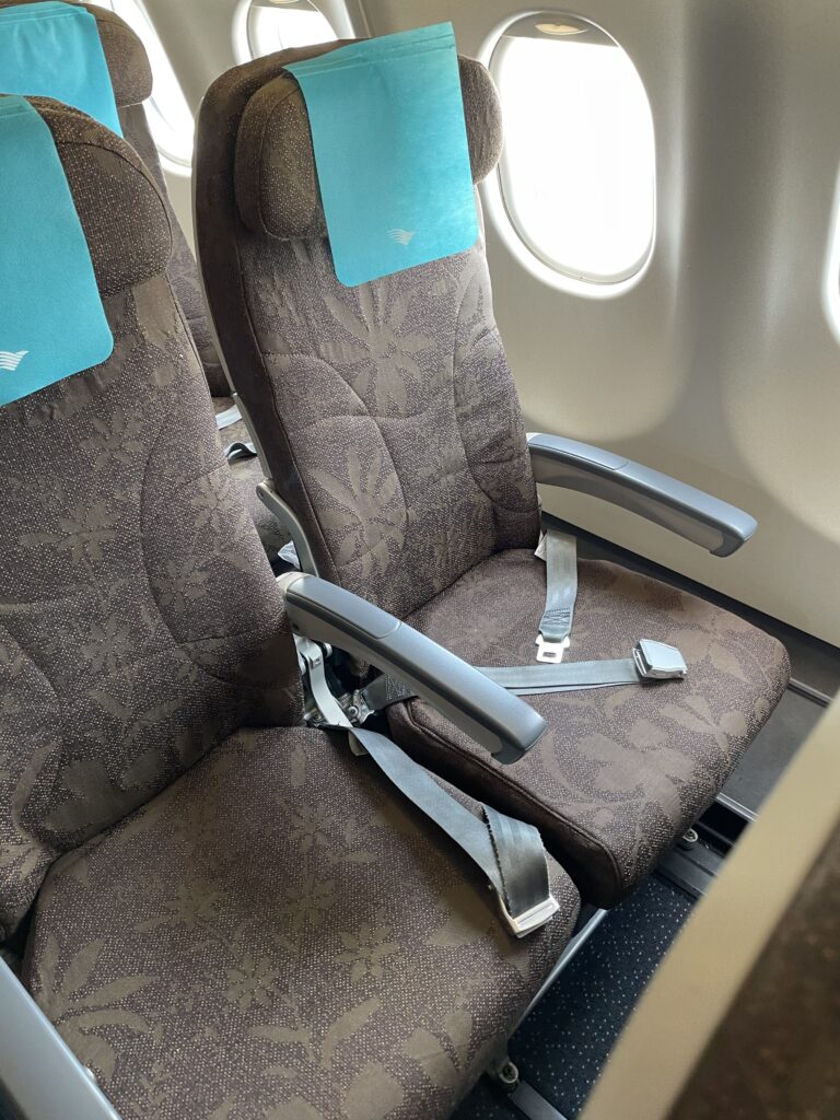 Economy class seats in brown with an aqua blue cover on the headrest.