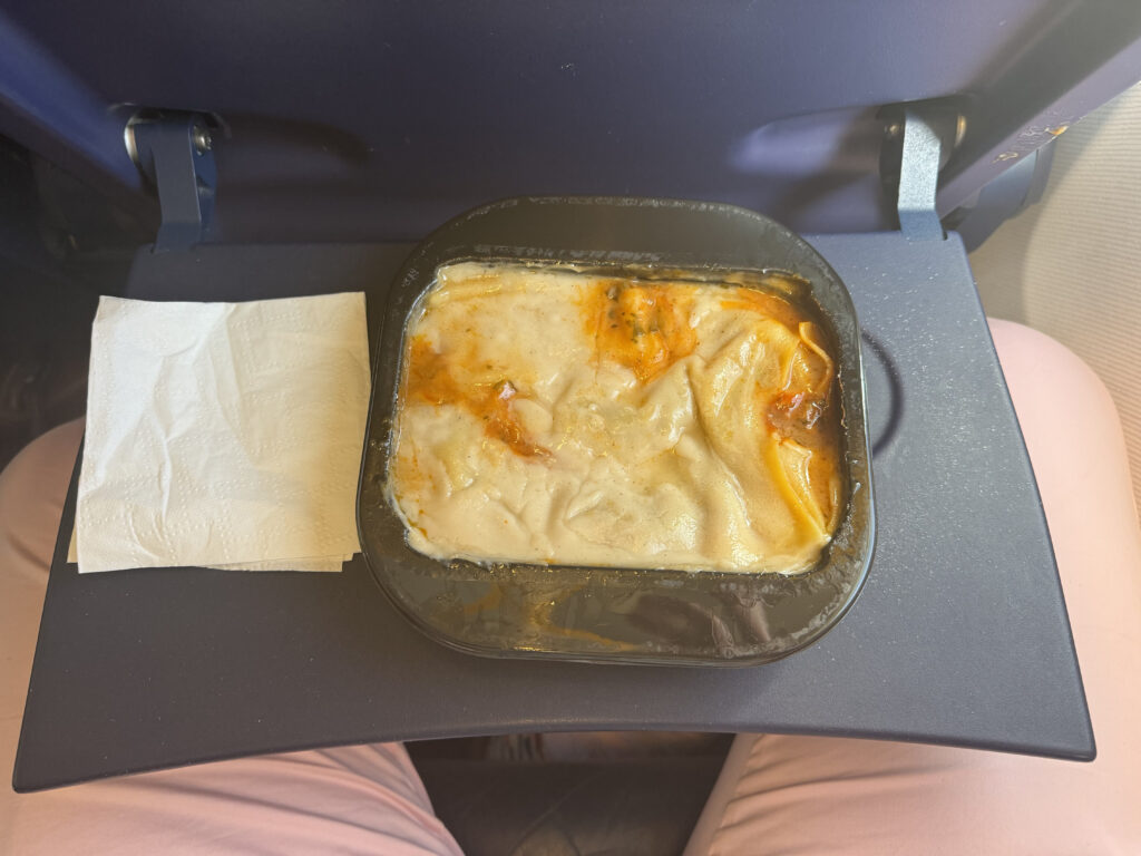 The vegan meal served in-flight is displayed on the aircraft tray table.