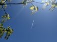 A aircraft contrail is seen in the sky. In the foreground are green leaves from a tree to connote sustainability.