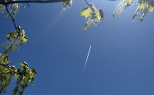 A aircraft contrail is seen in the sky. In the foreground are green leaves from a tree to connote sustainability.