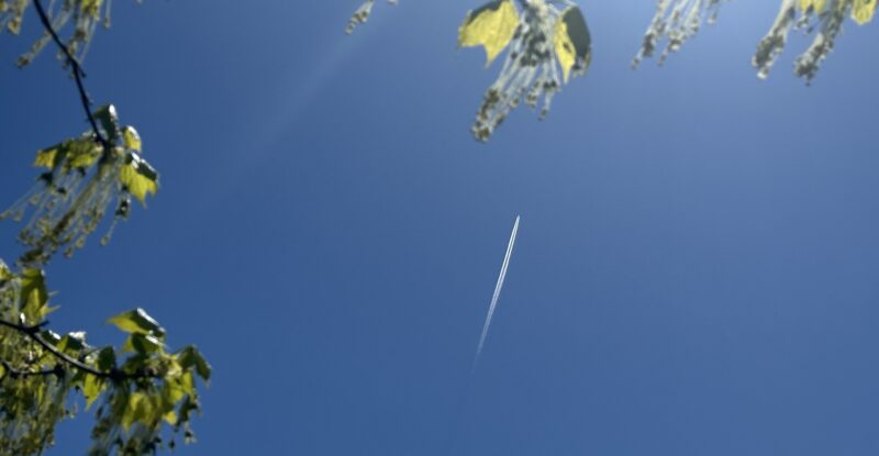 A aircraft contrail is seen in the sky. In the foreground are green leaves from a tree to connote sustainability.