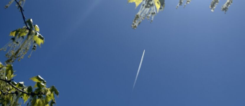A aircraft contrail is seen in the sky. In the foreground are green leaves from a tree to connote sustainability.
