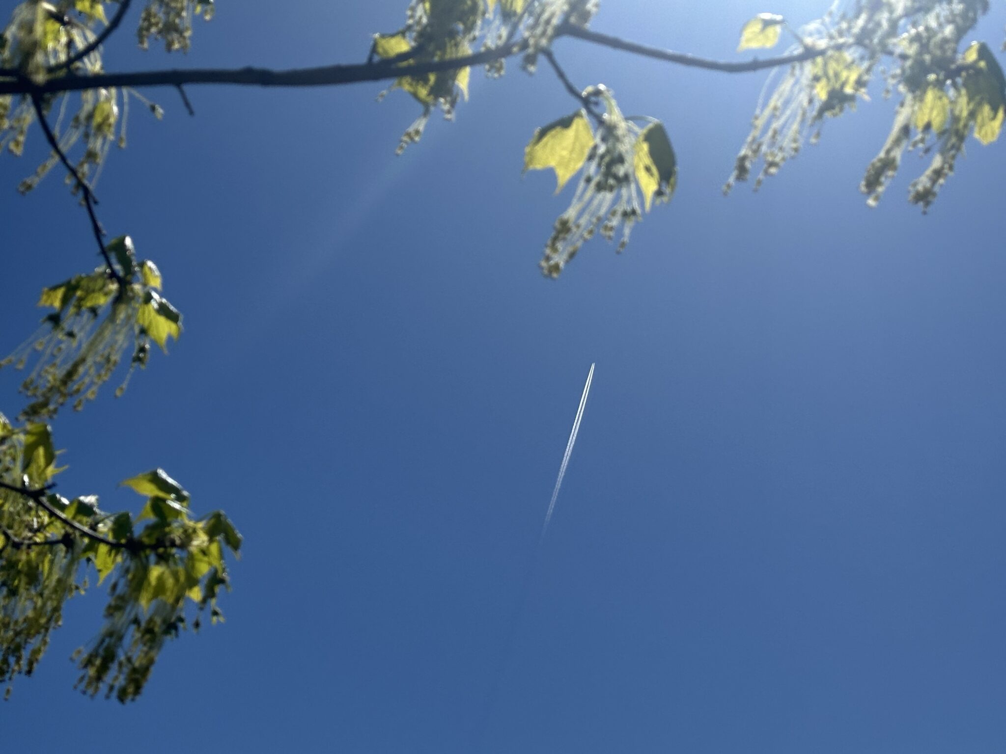 Op-Ed: How sustainability, accessibility influence airline perceptions