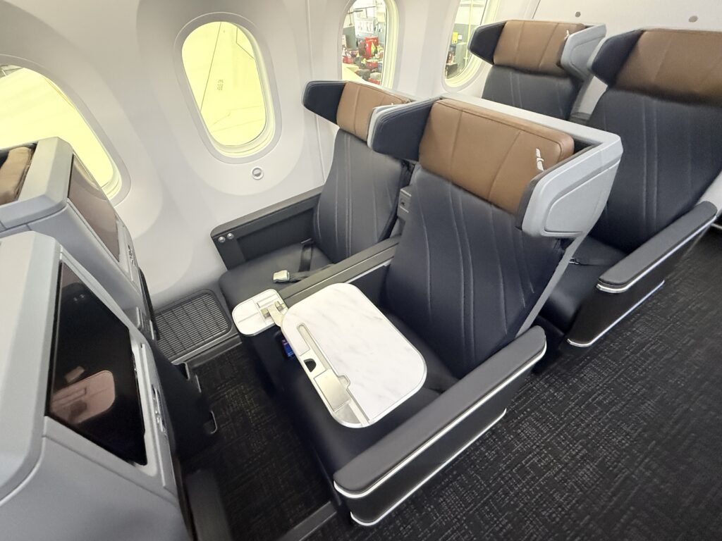 Front view of a pair of premium economy seats on this American 787-9