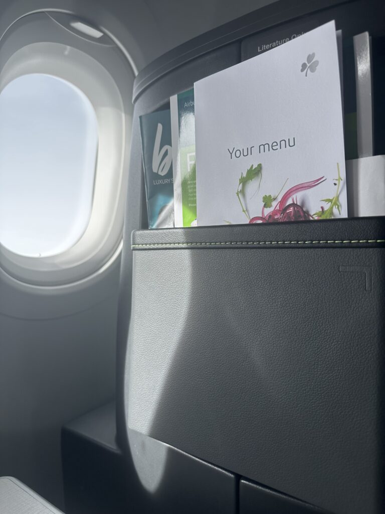 Aer Lingus seatback with menus and reading info stored within it. The aircraft window shows a bright clear day. (Factorydesign)