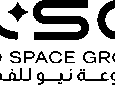NSG logo