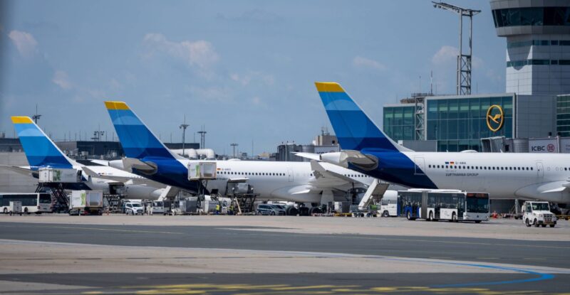 Discover Airlines tails at their gates at the airport.