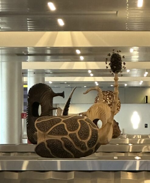 Seed-like carved structures at baggage claim