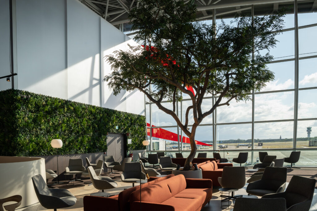 A tree grows inside the seating area of the Brussels Airlines Sunrise Lounge.