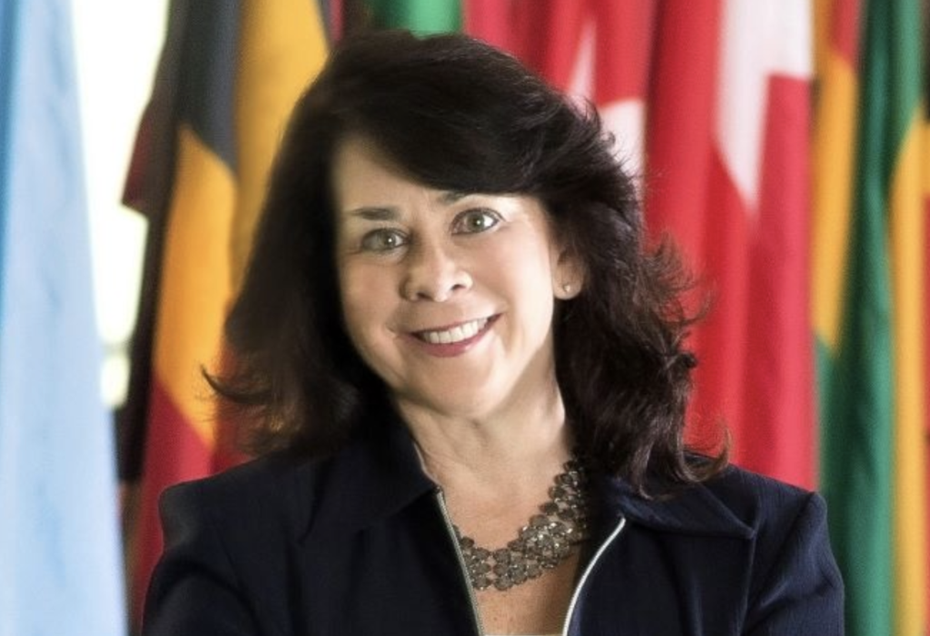 Lisa Anderson at the UN, in front of flags of the world