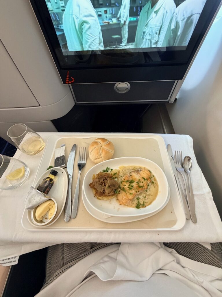 A meal is served to the passenger.