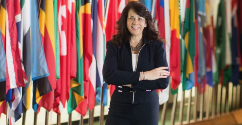 Lisa Anderson in front of the flags of the world at the UN