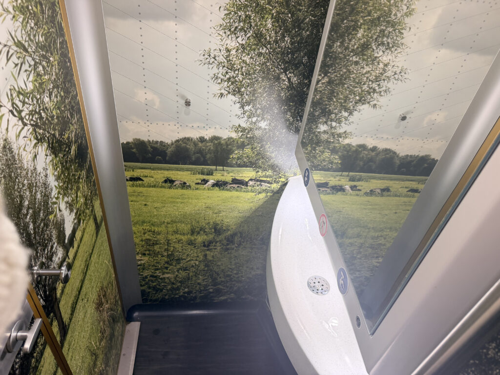 Inside the lavatory there is a unique landscape wallpaper. 