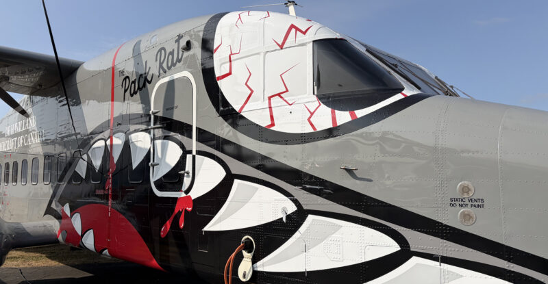 De Havilland Aircraft of Canada’s Sherpa demonstrator carries the name ‘Pack Rat’ and wears a fearsome color scheme.